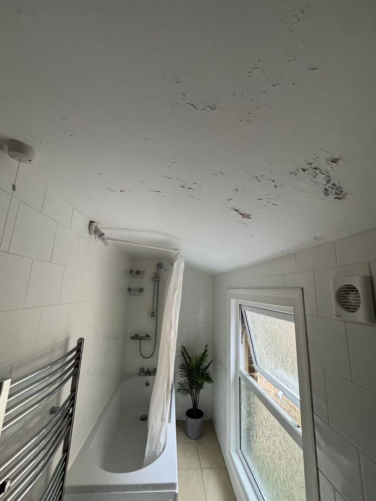Bathroom ceiling refurbishment with PVC cladding — image 1