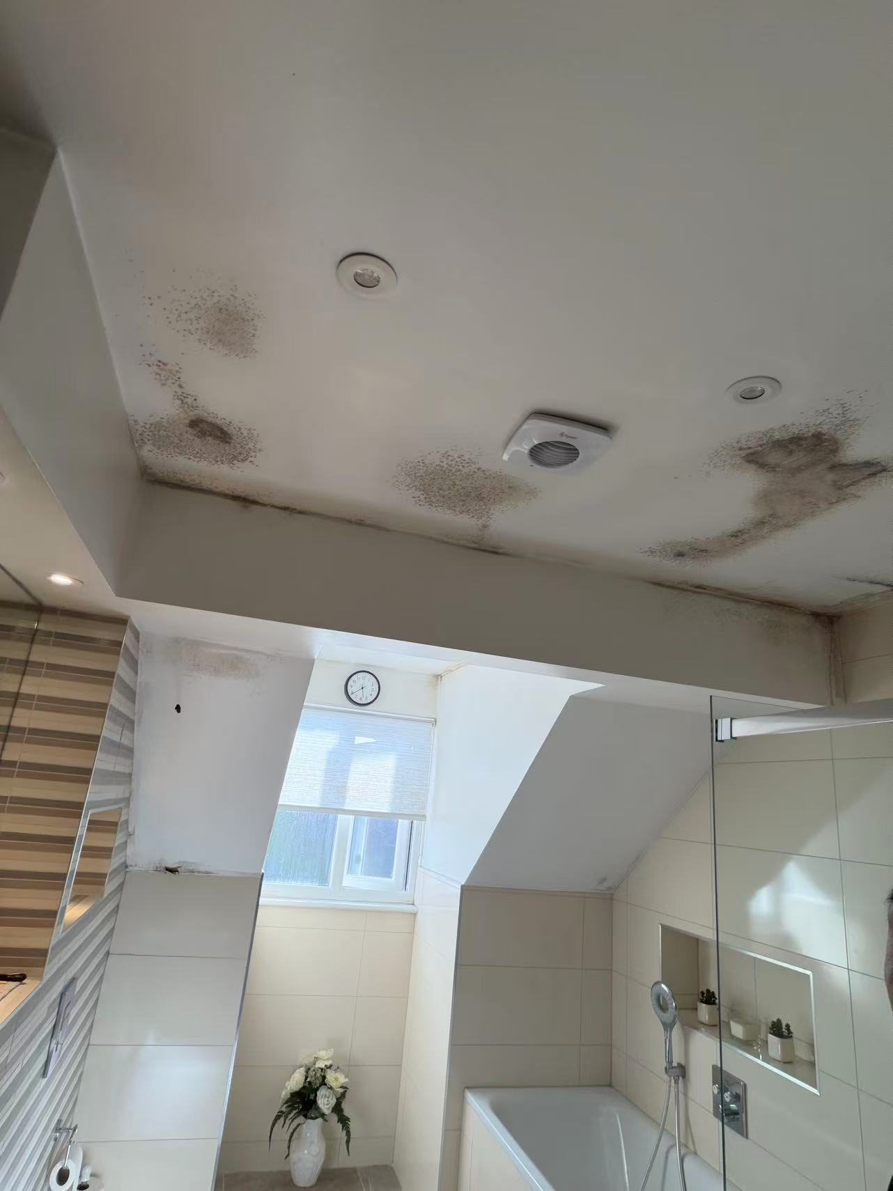 Loft bathroom ceiling replacement after damp and mould — image 4