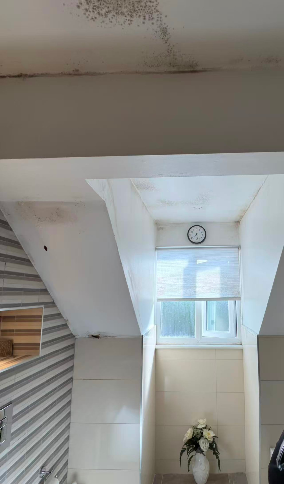Loft bathroom ceiling replacement after damp and mould — image 3